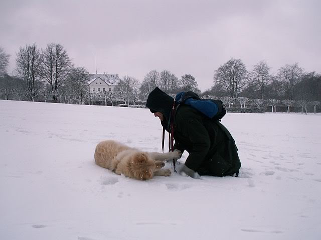 SNOW22-02-07mindeparkenwalk013.jpg