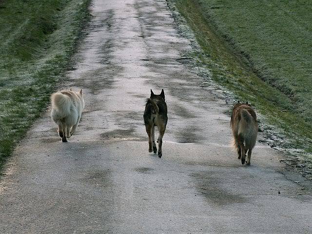 Walkiesdecember18-3.jpg