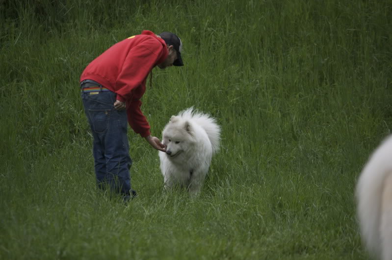_MG_2588.jpg