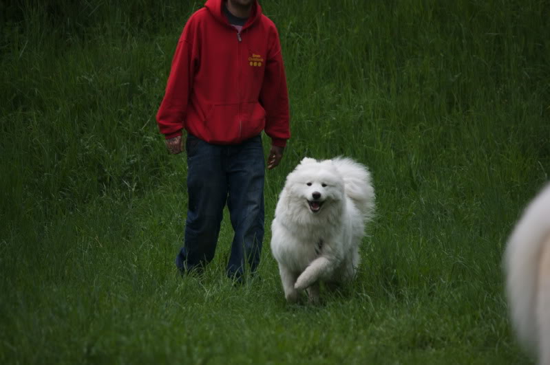 _MG_2589.jpg
