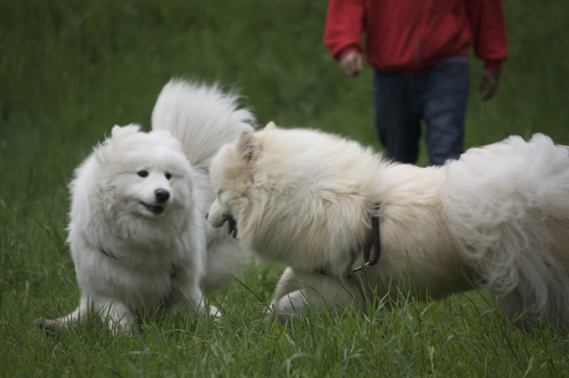 _MG_2593.jpg