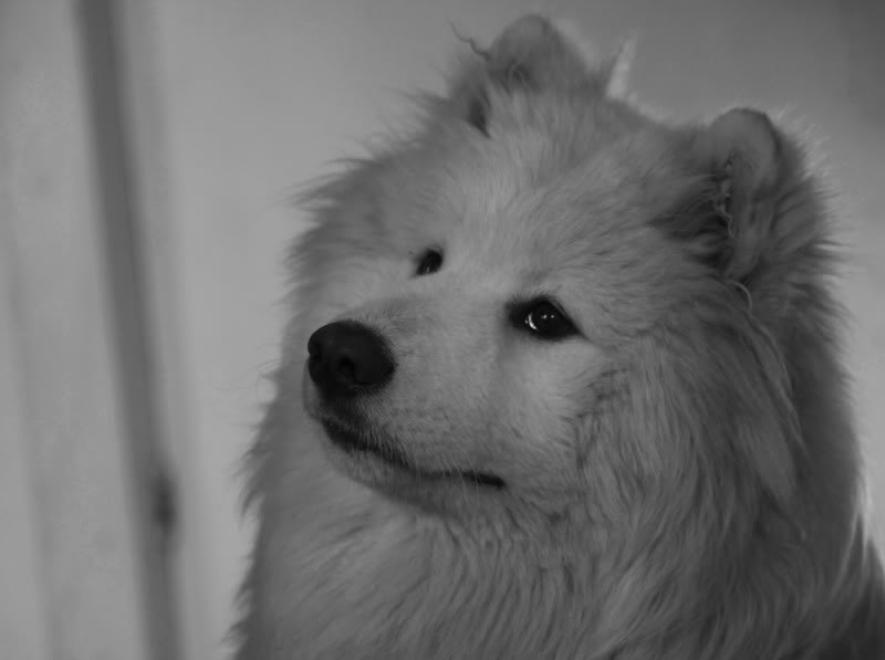 _MG_3584.jpg