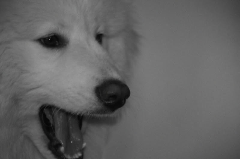 _MG_3590.jpg