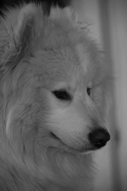 _MG_3594.jpg