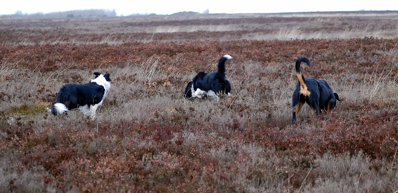 DSC_0095.JPG