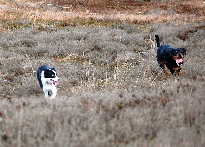DSC_0115.JPG