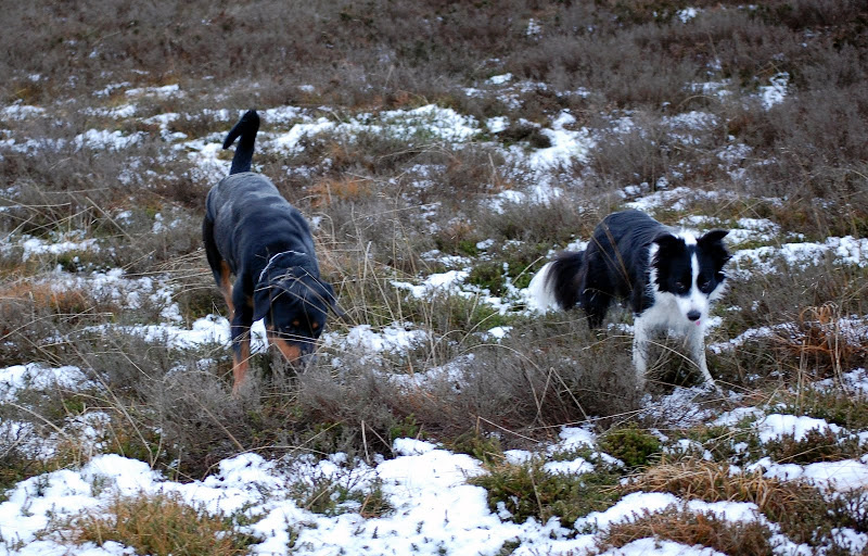 DSC_0081.JPG