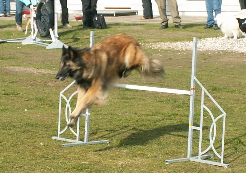 agility10-16.jpg