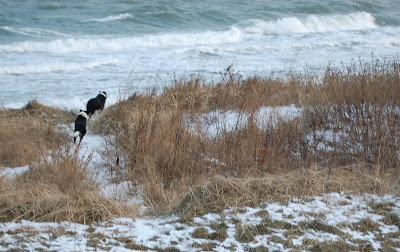 DSC_0080.JPG