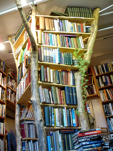 booktree-picture-credit-ulle_b.jpg