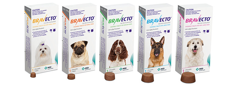 Bravecto og voldsomme bivirkninger (epilepsi, kramper osv.)? - - Hunde-forum.dk