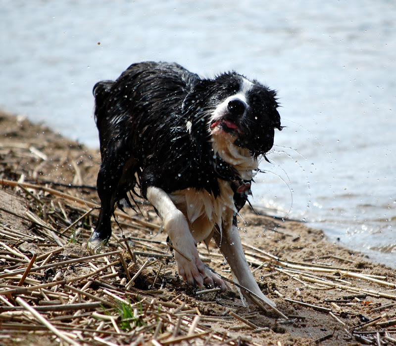 DSC_0018.JPG