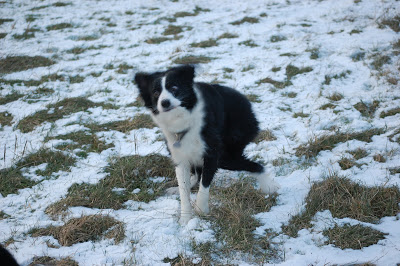 DSC_0065.JPG