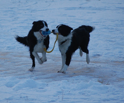 DSC_0246.JPG