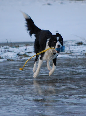 DSC_0024.JPG