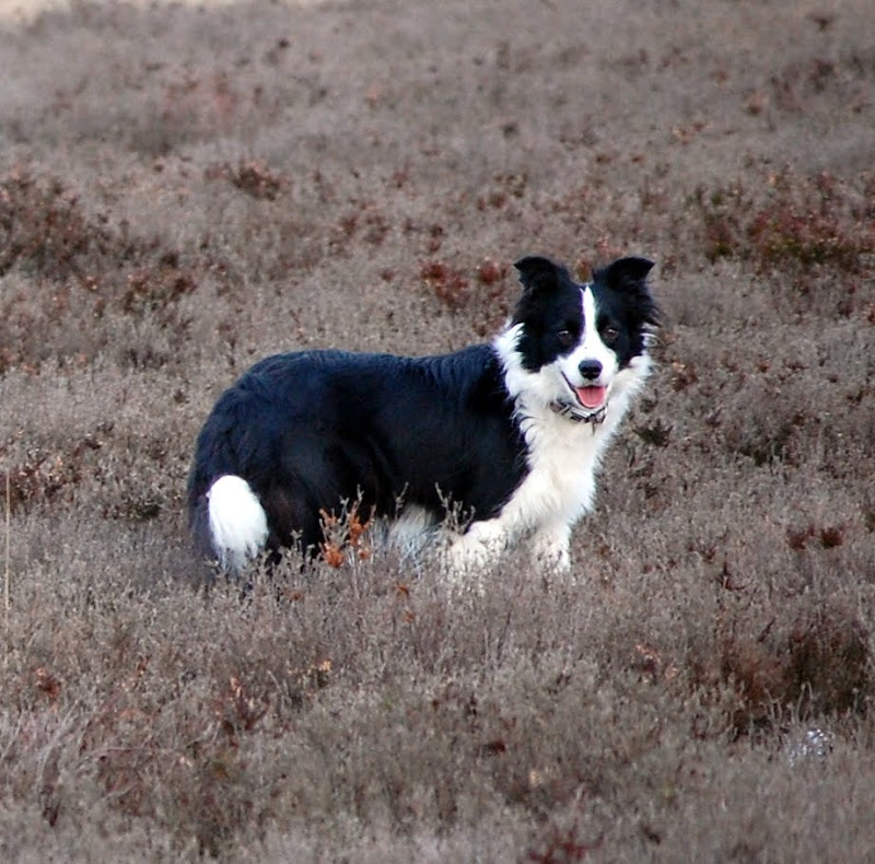 DSC_0152.JPG