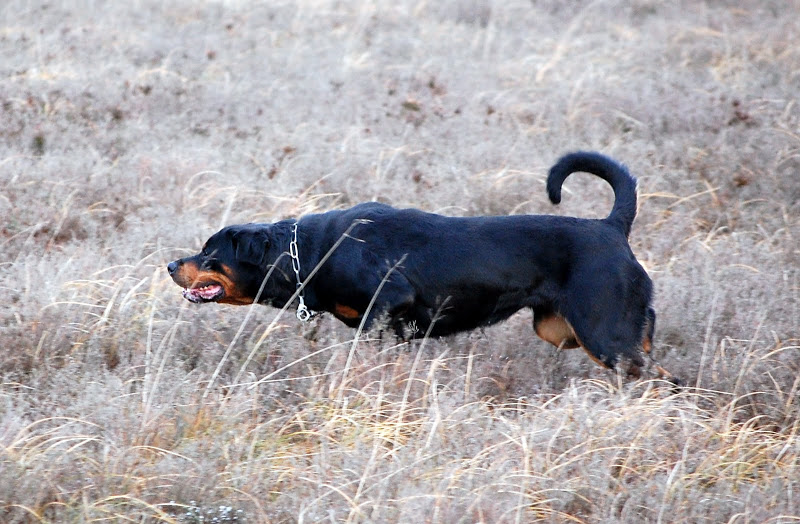 DSC_0145.JPG