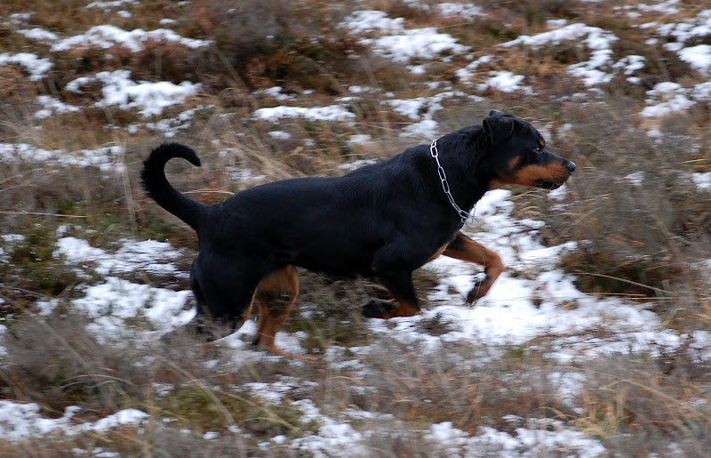 DSC_0043.JPG