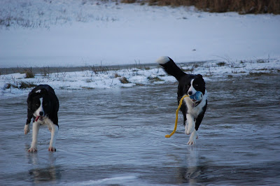 DSC_0025.JPG