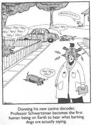 farside.jpg