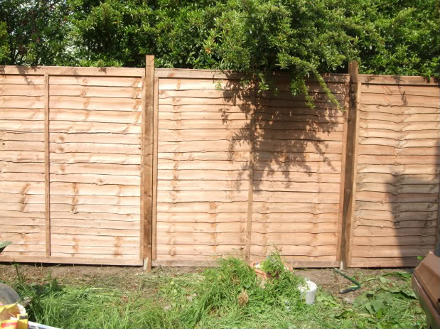 fence003.jpg