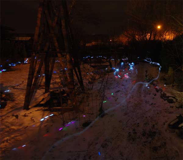 lightdog.jpg