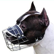 new-pitbull-wire-dog-muzzle.jpg