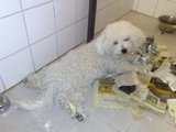 th_04092008558.jpg