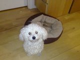 th_05122008709.jpg