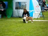 th_15052010007.jpg