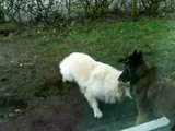 th_Indy-Lexvideo2.jpg