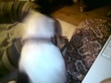 th_MOV03506.jpg