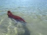 th_P6160003.jpg