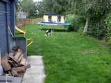 th_SDC11253.jpg