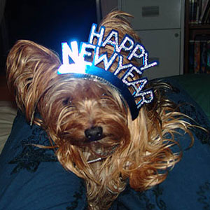 wick_newyear.jpg