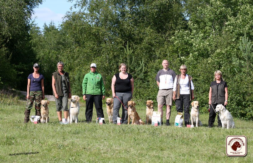 Den ideelle rallyhund