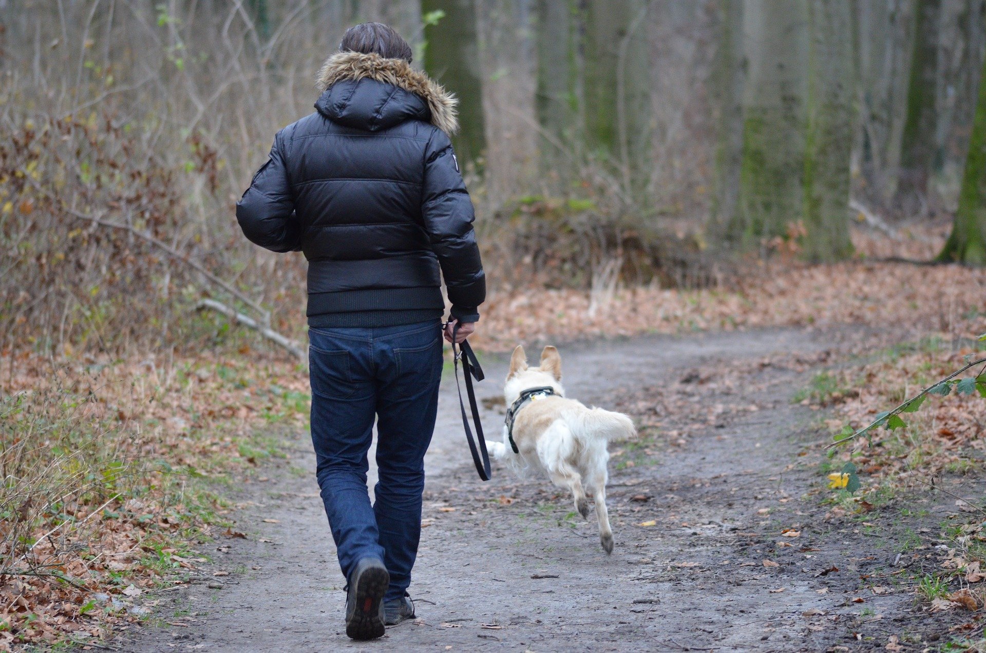 Mere information om "Nyt stort velgørenhedsløb for hunde og deres mennesker"